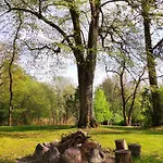 - Warnileg