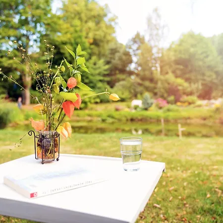 住宿加早餐酒店 -