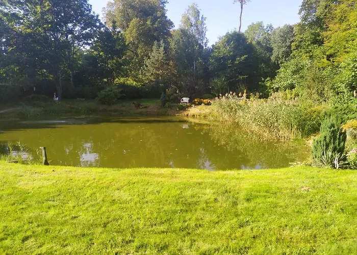 Bed & Breakfast - Warnileg