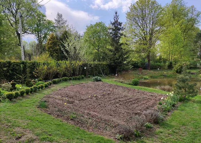 Bed & Breakfast - Warnileg