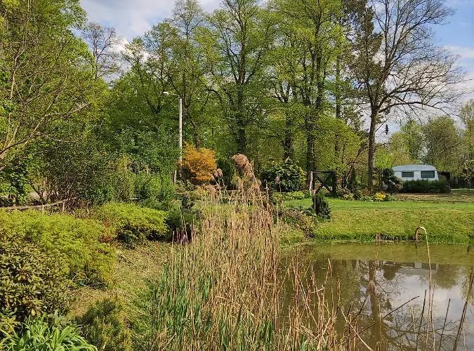 Alojamento de Acomodação e Pequeno-almoço - 3*