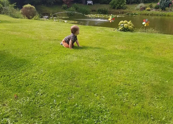 Alojamento de Acomodação e Pequeno-almoço - 3*